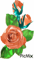 kvety animuotas GIF