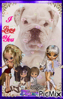 Mr. Bulldog et ses amies ♥♥♥ animált GIF