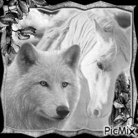 loup et cheval - Besplatni animirani GIF