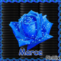 Mi Rosa blue
