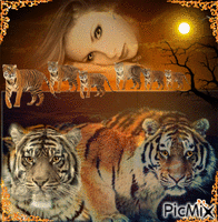 Concours "Le tigre" GIF animé