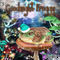 goodnight froggy frog