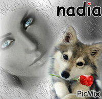 nadia - GIF animado grátis