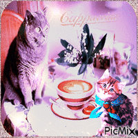 Cappuccino für Katze - Бесплатный анимированный гифка