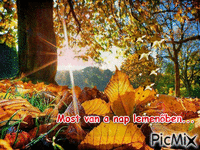 nap - 免费动画 GIF