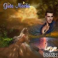 gute Nacht - GIF animé gratuit