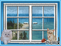 Window - GIF animado gratis