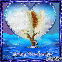 Loving Woodpecker animovaný GIF