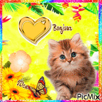 Bonjour les chatons Animated GIF
