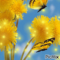 PAPILLONS 动画 GIF