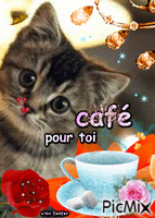 chat cafe - Free animated GIF