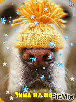 зима на носу - Gratis geanimeerde GIF
