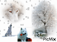les loups - Gratis animeret GIF
