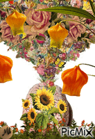 Collage de flores анимированный гифка