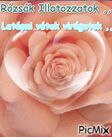 Illatos rózsák - Darmowy animowany GIF