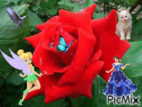 une rose - Ilmainen animoitu GIF