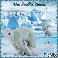 The arctic ocean GIF animado