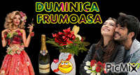 Duminica  Frumoasa animovaný GIF