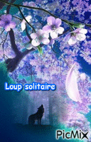 loup 4 - Darmowy animowany GIF