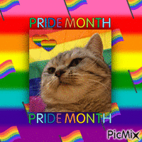 pride month cat - GIF animado gratis