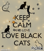 Black cats GIF animata