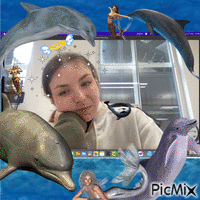 dolphin GIF animé