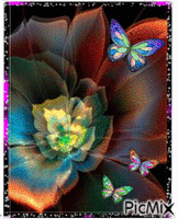 Flower in difernt colors. анимиран GIF