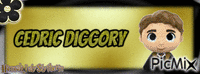 #Cedric Diggory - Banner# アニメーションGIF