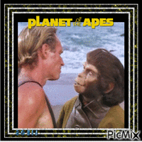 Planet of the apes (Chartlon Heston)