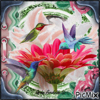 LES COLIBRIS - CONCOURS - Free animated GIF