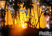 sous le soleil des caraibes - GIF animate gratis