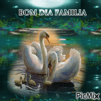 bom dia familia - Бесплатный анимированный гифка