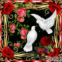 roses et colombes анимированный гифка