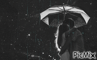 Ploaie - Darmowy animowany GIF