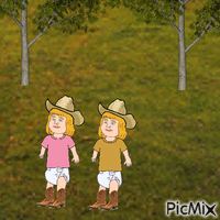 Western twins in country