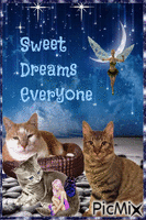 sweet dreams - 無料のアニメーション GIF