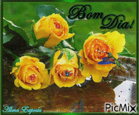 Rosas Amarelas - Ingyenes animált GIF