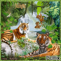 concours : Tigres dans la jungle анимирани ГИФ