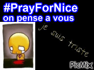 #prayforice - Ilmainen animoitu GIF