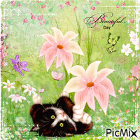 Cat With Flowers - Bezmaksas animēts GIF