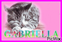 GABRIELLA animēts GIF