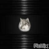 wolf - Ücretsiz animasyonlu GIF