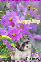 Happy day for you - Ilmainen animoitu GIF