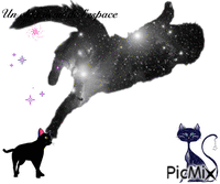 un chat venu de l'espace animasyonlu GIF