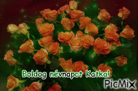 Katka - Безплатен анимиран GIF