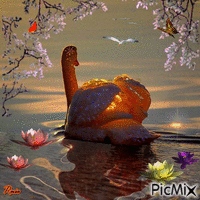 Cisne brillante - GIF animado gratis