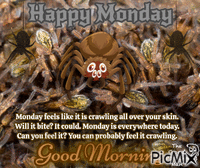 Monday - Feel It Crawling анимированный гифка