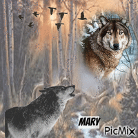 Les loups animált GIF