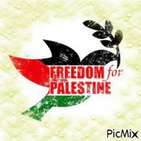 palestine GIF animé