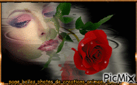 rose GIF animado